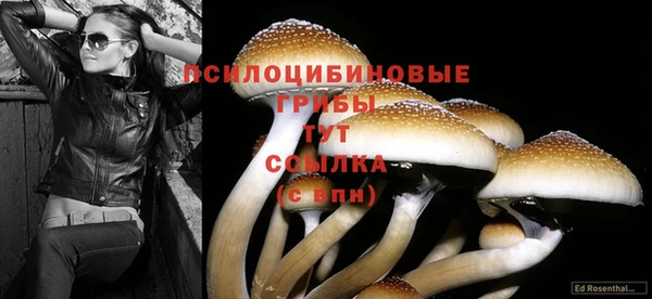 a pvp Няндома