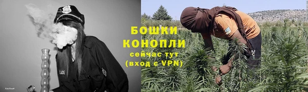 дживик Нягань