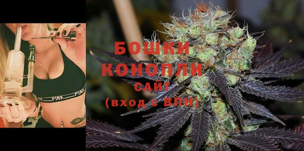 дживик Нягань