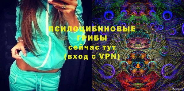 a pvp Няндома