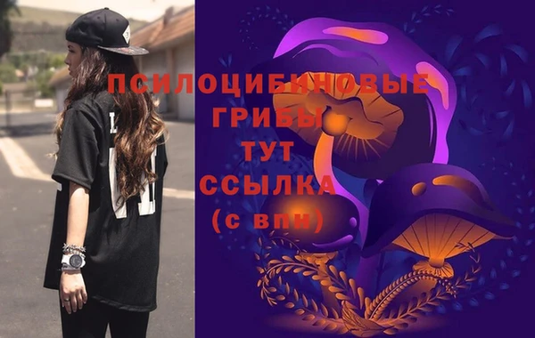 дживик Нягань