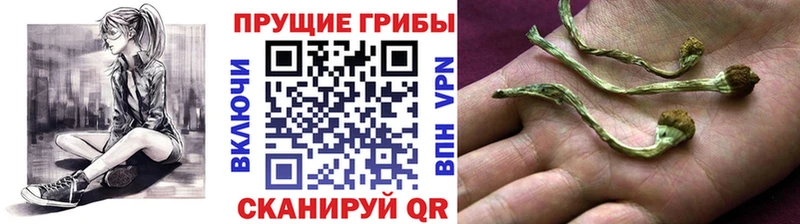 Галлюциногенные грибы ЛСД  площадка официальный сайт  Салехард  купить наркотик 